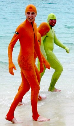 Lycra Stingersuits
